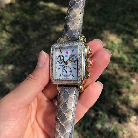 Michele Other - Michele | Gray Snakeskin Band